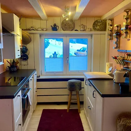 Appartement Ski Chalet Rinerhorn