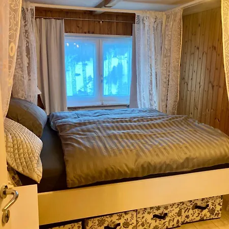 Appartement Ski Chalet Rinerhorn Glaris (Grisons)