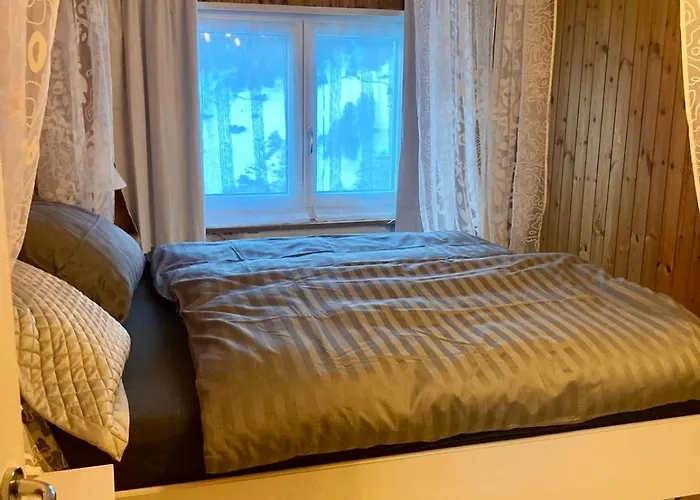 Апартаменты Ski Chalet Rinerhorn Glaris (Grisons)